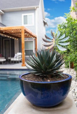Small & Mighty - Alterra began working with this client almost a year before starting the installation. The client was extremely intentional about the goals for the project and the look and feel of the design. The home is a long, narrow plan situated on a very small lot so the design packed lots of features into a small space while achieving a very clean, simple and modern feel. From the small, feature-rich pool to the porcelain deck, leuders stone planters, modern pergola and patio form trees, the design is clean and powerful. Alterra developed the design and performed the complete installation for this small but stunning backyard living space.
