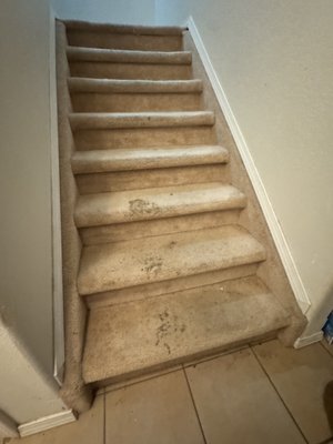 McKinney Home - Woodland Park, Colorado - This carpet cleaning included our standard package for the living room, Master Bedroom and then we had 4 flights of stairs with the 2 flights in the basement with significant stains to be removed.  You will see how clean the steps turned out after our stain removal treatment being applied in the before and after stair photos