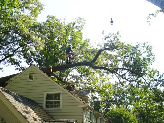 Emergency Storm Services - A tree uprooting in the middle of the night and landing on your home or vehicle can leave you scared, frustrated, and confused. As a homeowner, the best thing you can do in this situation is to call us and your homeowner insurance.
We have performed hundreds of emergency tree removals and understand your frustration and immediate needs in these situations. In the event of a tree emergency, we have knowledgeable Arborists available to help you 24/7. Emergency Storm Services - A tree uprooting in the middle of the night and landing on your home or vehicle can leave you scared, frustrated, and confused. As a homeowner, the best thing you can do in this situation is to call us and your homeowner insurance.
We have performed hundreds of emergency tree removals and understand your frustration and immediate needs in these situations. In the event of a tree emergency, we have knowledgeable Arborists available to help you 24/7.