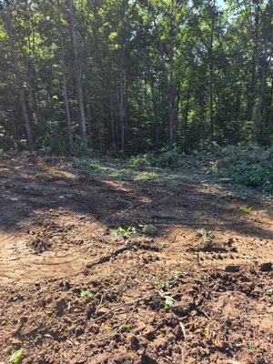Land Clearing - The customer purchased a heavily wooded property with a significant incline. Approximately 250 feet of the property was cleared back from the road. At the customer’s request, the trees were neatly stacked on-site so they could be used as firewood. Land Clearing - The customer purchased a heavily wooded property with a significant incline. Approximately 250 feet of the property was cleared back from the road. At the customer’s request, the trees were neatly stacked on-site so they could be used as firewood.