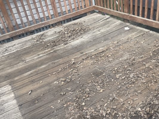 Pressure Washing - Ready to see your property shine? Contact us now for a complimentary quote or to book your pressure washing service. We handle homes, driveways, patios, fences, and more with utmost care and professionalism.