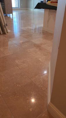 Floor Polishing - Floor polishing pads and penetrating sealant were used. No waxes were used.