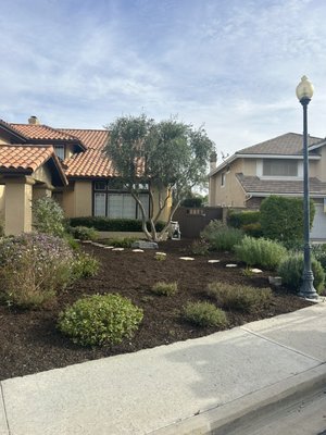 Mulch makes a big difference. - Mulch makes a big difference in a landscape  area.