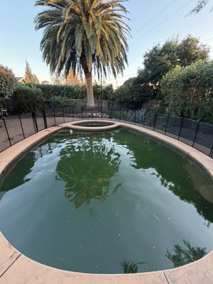 Green Pools! - This green-to-clean was provided for a client that had recently purchased a home. Sometimes pools don’t come in the best shape and we’re here to fix that for you!