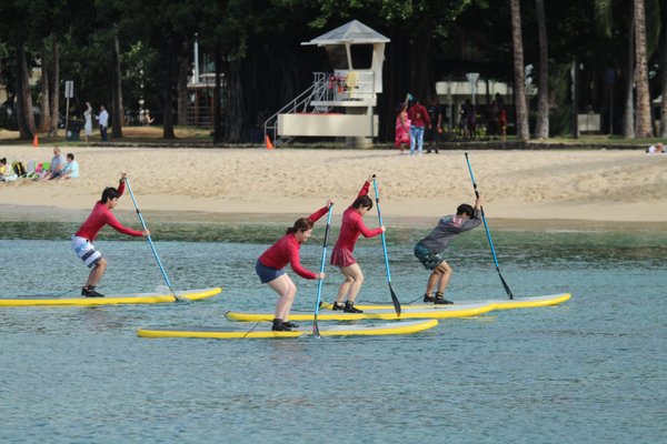 Learn to SURF or SUP "in just one lesson" - Come to learn to surf on Oahu with a Waikiki surf lesson from our talented surf instructors. Whether you book a group, semi-private or private lesson, you'll be up on the board in to time! Learn to SURF or SUP "in just one lesson" - Come to learn to surf on Oahu with a Waikiki surf lesson from our talented surf instructors. Whether you book a group, semi-private or private lesson, you'll be up on the board in to time!