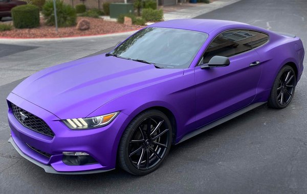 Mustang Full Wrap - Mustang Full Wrap Mustang Full Wrap - Mustang Full Wrap