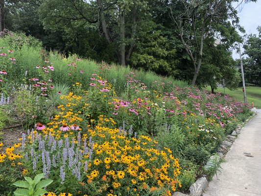 Landscape design - We offer custom garden and landscape design and installation services. Contact us today to set up a consultation to find out what we can do to transform your home landscape!