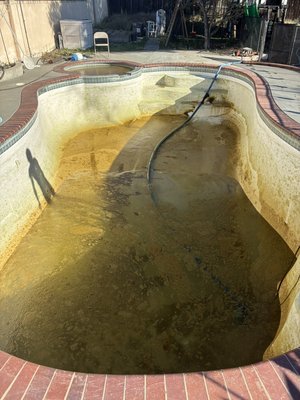 Green pool turnaround - Miss greenish brownish algae filled pool took 10 days to turn around. We drained it, cleaned it filled it and added the right balance of chemicals. Green pool turnaround - Miss greenish brownish algae filled pool took 10 days to turn around. We drained it, cleaned it filled it and added the right balance of chemicals.
