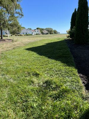 Sod installation - On this job we did a sod installation Sod installation - On this job we did a sod installation
