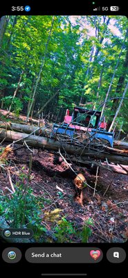 Charlevoix storm clean up - The ice storm In Charlevoix tore the woods up on this beautiful 10 acres and we had it cleaned up and back to looking just like normal woods now got it done in a week! Quick fast availability and great work! Get ahold of us 231-463-8312!