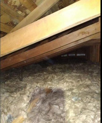 Attic Cleanup and Insulation Removal and Install - Insulation Removal and Install!