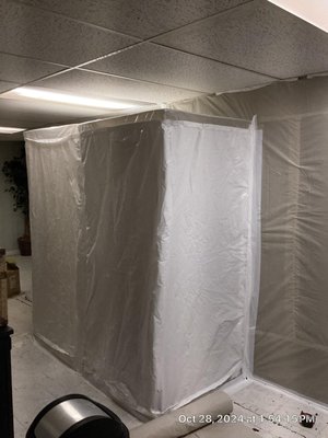 Mold Remediation - Any home or business can quickly become infested with mold with the introduction of a water source, like a roof or plumbing leak. Mold can spread throughout a property in as little as 48-72 hours, and can produce allergens and irritants that have the potential to cause other health effects.