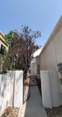 Tree Project - At All Around Forestry, no job is too big or to small! We take pride in our work and guarantee satisfaction! Tree Project - At All Around Forestry, no job is too big or to small! We take pride in our work and guarantee satisfaction!