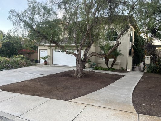 Tree trimming and yard repair. - A large cleanup for a newly purchased home, which included irrigation valve repair and replacement, shrub clean up, dead plant matter raking and cleanup, and tree trimming.