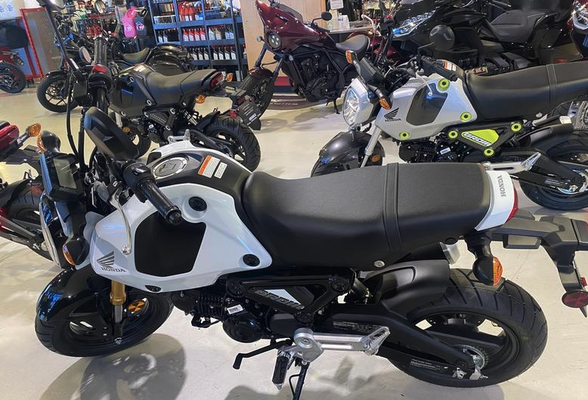 2024 Honda® GROM Selections - Monarch Honda Powerhouse Inventory 2024 Honda® GROM Selections - Monarch Honda Powerhouse Inventory
