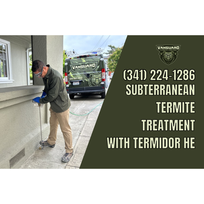 Subterranean Termite Treatment - At Vanguard Termite Control, we provide comprehensive subterranean termite treatment to protect homes and businesses in Redwood City and throughout Northern California. Our full subterranean termite treatment targets these destructive pests at the source, ensuring long-lasting protection for your property.
We apply treatments around the perimeter, subarea, and exterior of your home, using advanced methods such as drilling through concrete and trenching soil to deliver highly effective products. These treatments can provide up to 15 years of protection against subterranean termites, preventing costly structural damage.
If you're in Redwood City or the surrounding Northern California area, trust Vanguard Termite Control to keep your home safe from subterranean termites. Call us today at (510) 557-4918 to schedule your FREE termite inspection! Subterranean Termite Treatment - At Vanguard Termite Control, we provide comprehensive subterranean termite treatment to protect homes and businesses in Redwood City and throughout Northern California. Our full subterranean termite treatment targets these destructive pests at the source, ensuring long-lasting protection for your property.
We apply treatments around the perimeter, subarea, and exterior of your home, using advanced methods such as drilling through concrete and trenching soil to deliver highly effective products. These treatments can provide up to 15 years of protection against subterranean termites, preventing costly structural damage.
If you're in Redwood City or the surrounding Northern California area, trust Vanguard Termite Control to keep your home safe from subterranean termites. Call us today at (510) 557-4918 to schedule your FREE termite inspection!