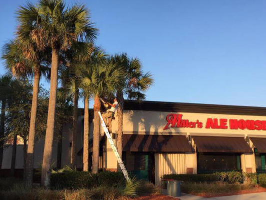 Commercial Tree Services - Licensed and Insured. Serving Lee County Since 2004!