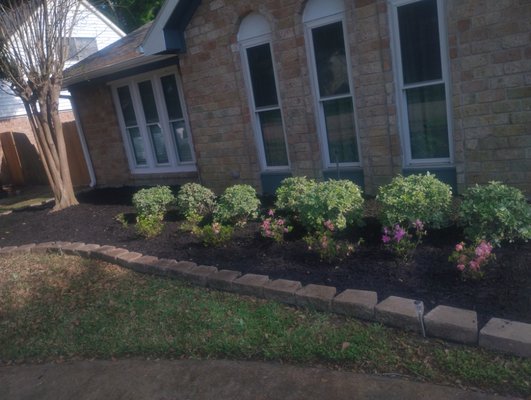 Flower Bed & Property Makeover - Did a complete property makeover on this home in Katy so the owners can list there property for sell. We took care of this in less than a day, trimmed up everything, got the weeds removed, mulched, added a bed on the right side of the home, added some marigolds, and the project was complete! Flower Bed & Property Makeover - Did a complete property makeover on this home in Katy so the owners can list there property for sell. We took care of this in less than a day, trimmed up everything, got the weeds removed, mulched, added a bed on the right side of the home, added some marigolds, and the project was complete!