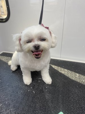 Yodas spa treatment package!!! - Yodas spa treatment package after look😁 Yodas spa treatment package!!! - Yodas spa treatment package after look😁