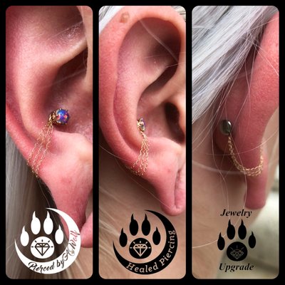 Various ear piercing projects - Here we will see various custom ear piercings and ear curations with fitted, custom body jewelry.