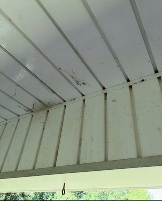 Deck cleaning - This was a deck that had received no love for some time and developed moldy areas, I went in and removed it with ease in a Matter of minutes