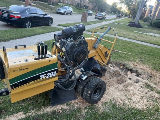 Stump removal - Stump removal Stump removal - Stump removal