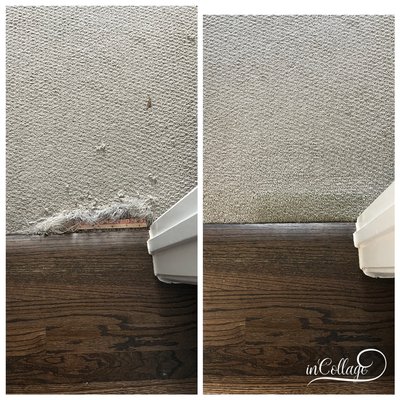Pet Damage Repair - These are various jobs done to correct pet damage. Pet Damage Repair - These are various jobs done to correct pet damage.