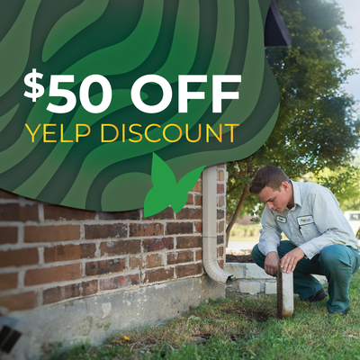 Our Yelp Page - Looking for expert pest control at a great price? Claim your $50 discount! Quality service, fast results, and savings you’ll love. Our Yelp Page - Looking for expert pest control at a great price? Claim your $50 discount! Quality service, fast results, and savings you’ll love.