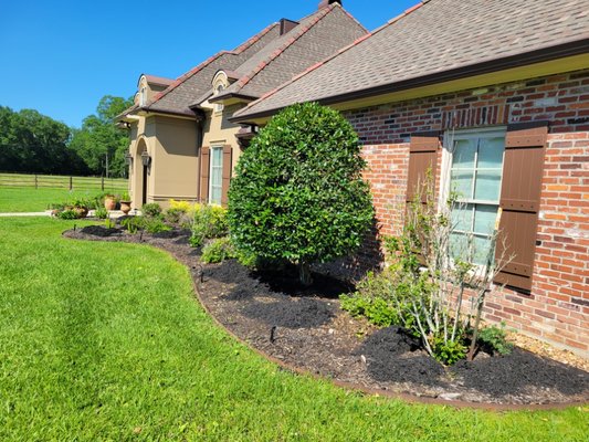 Black Mulch 5/2025 - This Mulch Install  consists of 40 bags of mulch.