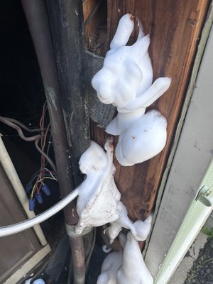 Localized Termite Treatment - In lieu of a Structural Fumigation we can also perform local treatments at the areas of infestation for termites. This will be lower in cost and will not require you to leave the home. We do back our treatments with a warranty