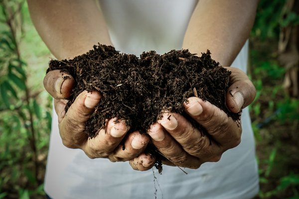 REGEN Florida Organic Compost® - REGEN Florida Organic Compost® is a long lasting soil regenerating amendment. It regenerates soil, improves plant health and yields while reducing need for chemical fertilizers and reduces water needs. REGEN Florida Organic Compost® - REGEN Florida Organic Compost® is a long lasting soil regenerating amendment. It regenerates soil, improves plant health and yields while reducing need for chemical fertilizers and reduces water needs.