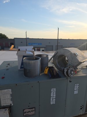 Blower Wheel Replacement - Replaced blower wheel on rooftop HVAC unit. Technician accessed the blower compartment, removed the blower assembly, disconnected necessary wiring, and removed the existing blower wheel from the motor shaft. Installed new blower wheel, secured it properly, and reassembled the blower housing.
After installation, wiring was reconnected and the blower assembly was checked for proper operation. System was tested to verify the blower wheel was spinning correctly, airflow was restored, and unit was operating properly at this time.