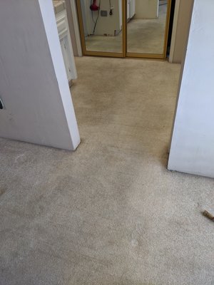 Urine Stain and Odor Treatment - This is one of our loyal customers.  A master bedroom with bath, carpeted, vanilla berber carpet. The stains respond immediately to our chemicals.  Chemicals used here have about an 80% zero impact or minimal footprint on environment. The Odor neutralizer was the only strong, but pleasant baby powder scent in this cleaning project. The dry time on this berber type carpet in current cold humid weather is between 2-4hrs with fans on and either window open or heating system on.