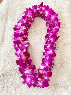Single/Double Orchid Leis - Graduation season is coming up. 👩‍🎓🧑‍🎓🎉🎊
We are bringing back the high quality orchid lei from Hawaii. 
Single bombay purple orchid (36") is $20
Double bombay purple orchid (36") is $35
Request a quote to place an order.
