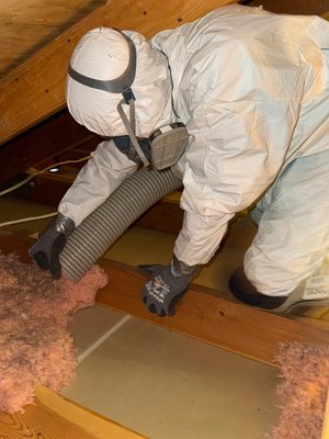 Insulation Removal and Installation - Our Insulation Removal & Installation service provides a complete upgrade of your attic or crawl space. We safely remove old, contaminated, or damaged insulation, including debris, droppings, nesting materials, and dust buildup. Once the area is cleared, we perform a deep cleaning, sanitize the space, and prepare it for new insulation.
We then install high-quality insulation to improve energy efficiency, comfort, and air quality in your home. All work is performed with proper sealing of gaps, duct protection, and attention to building safety standards, ensuring long-lasting results. Insulation Removal and Installation - Our Insulation Removal & Installation service provides a complete upgrade of your attic or crawl space. We safely remove old, contaminated, or damaged insulation, including debris, droppings, nesting materials, and dust buildup. Once the area is cleared, we perform a deep cleaning, sanitize the space, and prepare it for new insulation.
We then install high-quality insulation to improve energy efficiency, comfort, and air quality in your home. All work is performed with proper sealing of gaps, duct protection, and attention to building safety standards, ensuring long-lasting results.