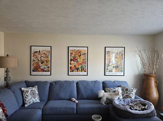 Expert Hanging Services - Cracks, holes, or a full renovation—our drywall pros deliver flawless results, every time. Clean, fast repairs and new drywall installations. Get your walls looking brand new—request a quote today! Expert Hanging Services - Cracks, holes, or a full renovation—our drywall pros deliver flawless results, every time. Clean, fast repairs and new drywall installations. Get your walls looking brand new—request a quote today!