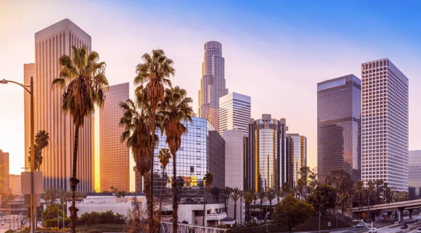 City Business License - Need to register your business with the City? Imperial Mailbox & Notary Services in Norwalk, CA can assist with preparing your business registration.
The City of Los Angeles refers to its business registration as a Business Tax Registration Certificate (BTRC). Businesses operating or conducting business within Los Angeles may be required to register. City Business License - Need to register your business with the City? Imperial Mailbox & Notary Services in Norwalk, CA can assist with preparing your business registration.
The City of Los Angeles refers to its business registration as a Business Tax Registration Certificate (BTRC). Businesses operating or conducting business within Los Angeles may be required to register.