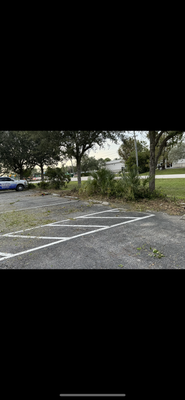 Weed removal - Don't let pesky weeds ruin your beds/hedges Weed removal - Don't let pesky weeds ruin your beds/hedges