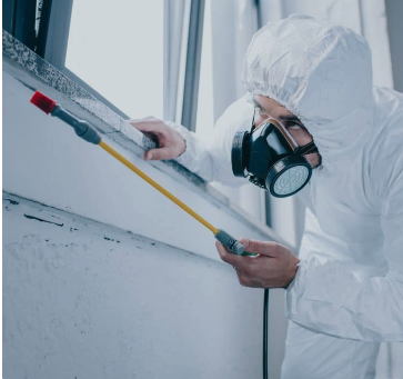 Pest and Termite Control - With years of experience in termite control, our technicians have the expertise to tackle even the most challenging termite problems effectively. Pest and Termite Control - With years of experience in termite control, our technicians have the expertise to tackle even the most challenging termite problems effectively.