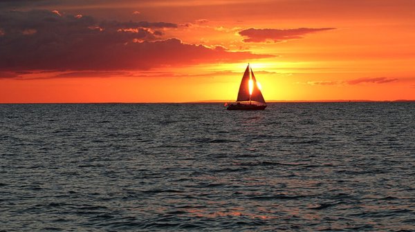 Gulf of America Sailing Tour - For those of you who want to experience a more adventurous sailing trip, we offer a near-shore excursion in the Gulf of America that will enhance your opportunity to view dolphins and turtles, as well as feel the thrill of the wind in your hair. There is nothing more stress-relieving than moving across the sea with sails filled with air. This tour may have limited snacks and beverages, depending on the wind and sea state. Gulf of America Sailing Tour - For those of you who want to experience a more adventurous sailing trip, we offer a near-shore excursion in the Gulf of America that will enhance your opportunity to view dolphins and turtles, as well as feel the thrill of the wind in your hair. There is nothing more stress-relieving than moving across the sea with sails filled with air. This tour may have limited snacks and beverages, depending on the wind and sea state.