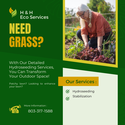 Need Grass? - Call now for more information Need Grass? - Call now for more information