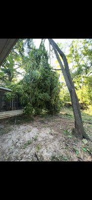 Emergency service from tornado in Conyers Ga - Tree was broken and hanging over home strong winds from tornados can be dangerous and cause tree to brake or uproot