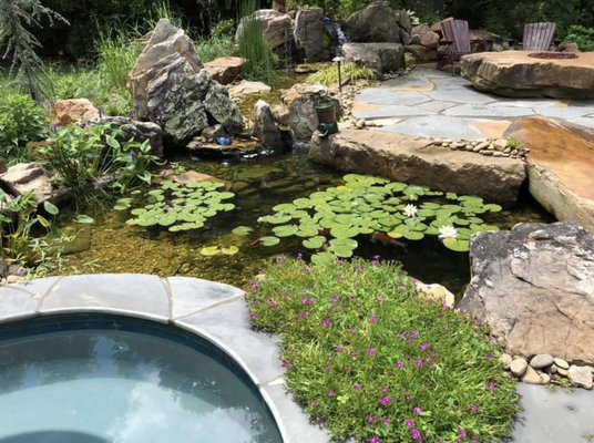 Cobblestone Koi Pond/Spa Combo - This has got it all! Plus some…. Two Flagstone Patios(one of which is an island!), Boulder Bridge, Boulder Fire Pit, Koi Pond, Waterfalls and Wraparound Stream Bed. To top it off, a Custom Sunken Spa that is right next to the pond! Cobblestone Koi Pond/Spa Combo - This has got it all! Plus some…. Two Flagstone Patios(one of which is an island!), Boulder Bridge, Boulder Fire Pit, Koi Pond, Waterfalls and Wraparound Stream Bed. To top it off, a Custom Sunken Spa that is right next to the pond!