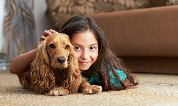 Carpet & Upholstery Cleaning - When you invite a Courtesy Care Certified Technician into your home, you will receive excellent care from knowledgeable carpet and fabric care professionals. We know how different fabric fibers and fabric patterns are affected by cleaning agents and cleaning techniques and will ask several questions to determine the best method of removing dirt and stains from your carpet and upholstery items. We offer multiple carpet cleaning packages. Call today for details! Carpet & Upholstery Cleaning - When you invite a Courtesy Care Certified Technician into your home, you will receive excellent care from knowledgeable carpet and fabric care professionals. We know how different fabric fibers and fabric patterns are affected by cleaning agents and cleaning techniques and will ask several questions to determine the best method of removing dirt and stains from your carpet and upholstery items. We offer multiple carpet cleaning packages. Call today for details!