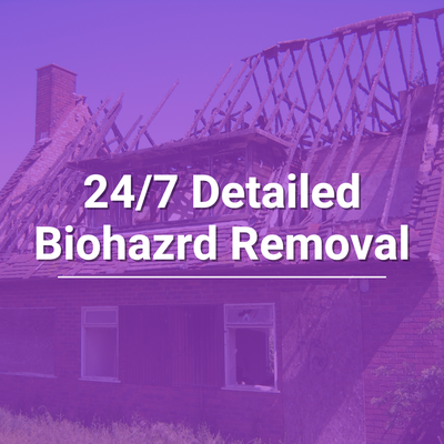 Biohazard Cleaning Service - Finally, a company that won’t immediately faint at the first whiff of a foul odor. Whether it involves chemicals, animals, humans, or something else, we’ll make it good as new. As you can see in our reviews, we’re known for being ridiculously clean and exceptionally detailed.

There are plenty of biohazard cleanup companies you could use. True, but why settle for anything less than the top-rated restoration company in Austin? 

Biohazard Cleaning Service:
- Animal infestations
- Sewage backups
- Chemical spills
- Crime scenes
- Neglected properties
- Blood and bodily fluids
- And most biohazard situations!