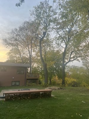 Tree Removal Projects - We have been in the industry for over 8 years now and continue to help locals with any tree work they need done!