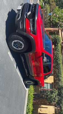 Exterior detailing And coating - This truck has remove all sap trees, all the body has been clean and spray wax has apply