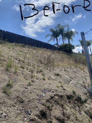 Backyard clean up - This was one of my first jobs, finished in a day left with a happy customer! Backyard clean up - This was one of my first jobs, finished in a day left with a happy customer!