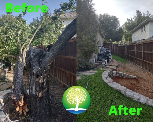 Another Lake Highlands Emergency Tree Removal - Another Lake Highlands Emergency Tree Removal Another Lake Highlands Emergency Tree Removal - Another Lake Highlands Emergency Tree Removal