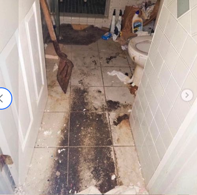 Urine and Feces Bathroom Cleanup - Be aware of the dangers of excrement. Urine and feces cleanup is a delicate task best left to professionals. The Bioclean Team in San Diego is just a call away. Safeguarding your health and peace of mind is our priority. Urine and Feces Bathroom Cleanup - Be aware of the dangers of excrement. Urine and feces cleanup is a delicate task best left to professionals. The Bioclean Team in San Diego is just a call away. Safeguarding your health and peace of mind is our priority.